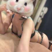 ヒメ日記 2025/05/16 22:12 投稿 最上 ANECOTE