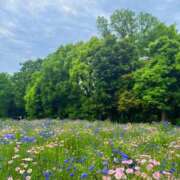 ヒメ日記 2025/05/19 20:55 投稿 最上 ANECOTE