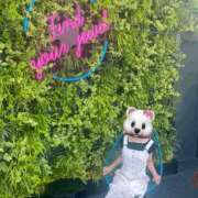 ヒメ日記 2025/05/21 21:47 投稿 最上 ANECOTE