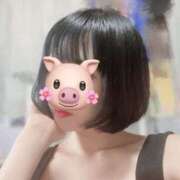 ヒメ日記 2025/06/20 09:00 投稿 最上 ANECOTE