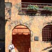 ヒメ日記 2025/06/20 17:30 投稿 最上 ANECOTE