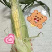 ヒメ日記 2025/06/25 21:23 投稿 最上 ANECOTE