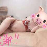 ヒメ日記 2025/06/30 20:42 投稿 最上 ANECOTE