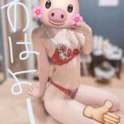 ヒメ日記 2025/07/29 10:15 投稿 最上 ANECOTE