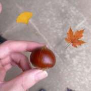 ヒメ日記 2025/09/19 17:01 投稿 最上 ANECOTE