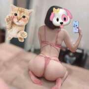 ヒメ日記 2025/09/20 20:04 投稿 最上 ANECOTE