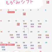 ヒメ日記 2025/10/31 20:19 投稿 最上 ANECOTE