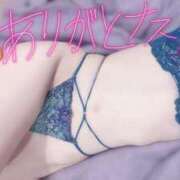 ヒメ日記 2025/11/13 18:30 投稿 最上 ANECOTE