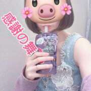 ヒメ日記 2025/11/25 18:44 投稿 最上 ANECOTE