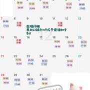 ヒメ日記 2025/11/26 17:01 投稿 最上 ANECOTE