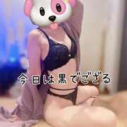 ヒメ日記 2025/12/02 17:01 投稿 最上 ANECOTE