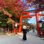 最上 紅葉ともがみ ANECOTE