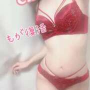 ヒメ日記 2025/12/17 21:29 投稿 最上 ANECOTE