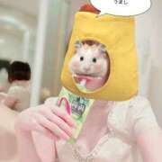 ヒメ日記 2026/01/27 21:40 投稿 最上 ANECOTE