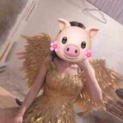 ヒメ日記 2026/01/30 17:02 投稿 最上 ANECOTE