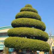 ヒメ日記 2026/02/16 20:54 投稿 最上 ANECOTE