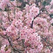 ヒメ日記 2026/03/01 12:36 投稿 最上 ANECOTE