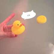 ヒメ日記 2026/03/06 21:10 投稿 最上 ANECOTE