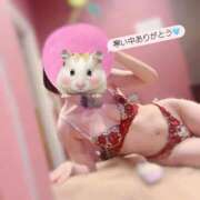 ヒメ日記 2026/03/10 20:27 投稿 最上 ANECOTE