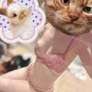 ヒメ日記 2026/03/19 09:59 投稿 最上 ANECOTE