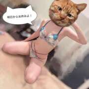 ヒメ日記 2026/03/26 14:37 投稿 最上 ANECOTE