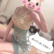 ヒメ日記 2026/04/08 20:50 投稿 最上 ANECOTE