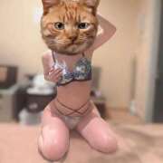 ヒメ日記 2026/04/13 09:54 投稿 最上 ANECOTE