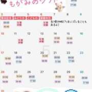 ヒメ日記 2026/04/21 18:02 投稿 最上 ANECOTE