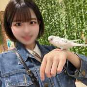 ヒメ日記 2025/05/28 06:45 投稿 花恋 ドンファン