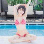 ヒメ日記 2025/12/27 10:32 投稿 花恋 ドンファン