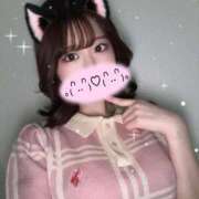 花恋 にゃん♡ ドンファン