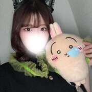 花恋 にゃんパーティー ドンファン