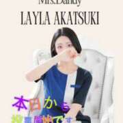 ヒメ日記 2025/10/28 15:49 投稿 暁月れいら Mrs. Dandy Shibuya