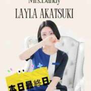 ヒメ日記 2025/11/03 13:04 投稿 暁月れいら Mrs.Dandy Kinshicho