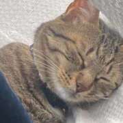 ヒメ日記 2025/08/07 16:43 投稿 かおり 府中ダービー