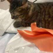 ヒメ日記 2025/08/08 10:53 投稿 かおり 府中ダービー