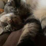 ヒメ日記 2025/08/20 09:23 投稿 かおり 府中ダービー