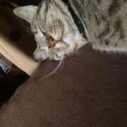 ヒメ日記 2025/08/20 16:53 投稿 かおり 府中ダービー