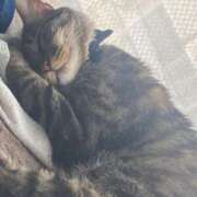 ヒメ日記 2025/08/28 16:33 投稿 かおり 府中ダービー