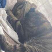 ヒメ日記 2025/08/29 11:53 投稿 かおり 府中ダービー