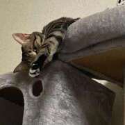 ヒメ日記 2025/09/09 17:20 投稿 かおり 府中ダービー