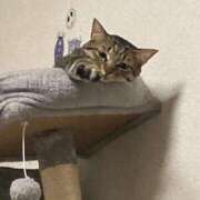 ヒメ日記 2025/09/10 09:53 投稿 かおり 府中ダービー