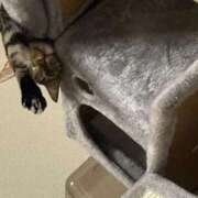 ヒメ日記 2025/09/10 16:43 投稿 かおり 府中ダービー