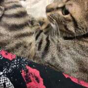 ヒメ日記 2025/09/19 11:23 投稿 かおり 府中ダービー