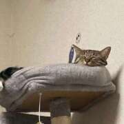 ヒメ日記 2025/09/19 16:40 投稿 かおり 府中ダービー