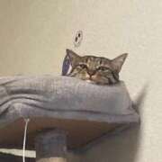 ヒメ日記 2025/09/26 17:43 投稿 かおり 府中ダービー