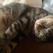 ヒメ日記 2025/10/06 10:23 投稿 かおり 府中ダービー