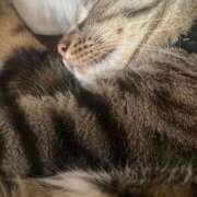 ヒメ日記 2025/10/08 10:53 投稿 かおり 府中ダービー