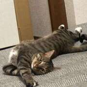 ヒメ日記 2025/10/08 16:33 投稿 かおり 府中ダービー