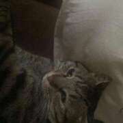 ヒメ日記 2025/10/10 17:03 投稿 かおり 府中ダービー